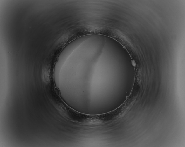 X0000095120644200712141137