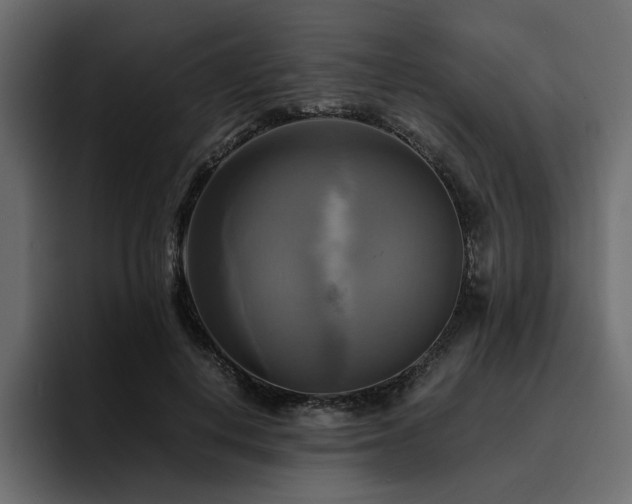 X0000095120648200712141137