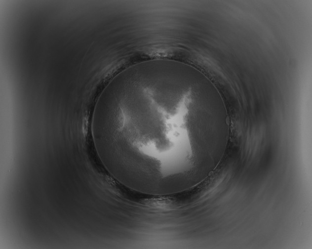 X0000095120652200712141137