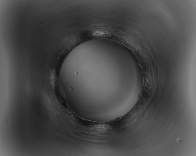 X0000095120659200712141137