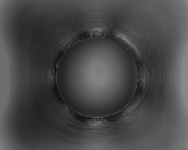 X0000095120661200712141137