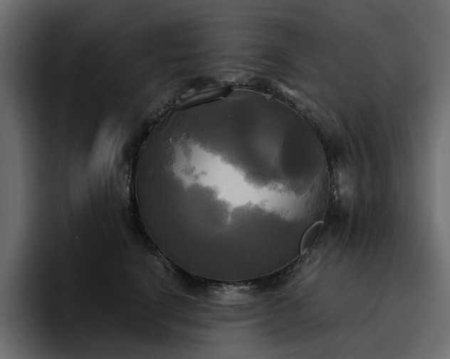 X0000095120664200712141137