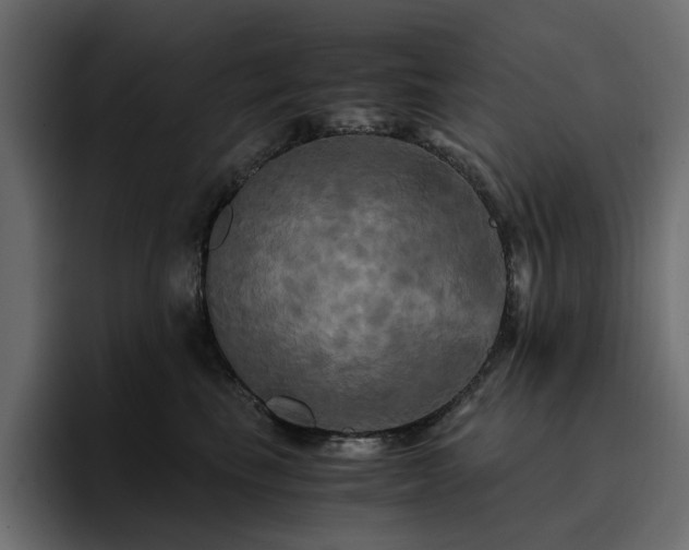 X0000095120665200712141137