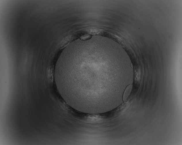 X0000095120666200712141137