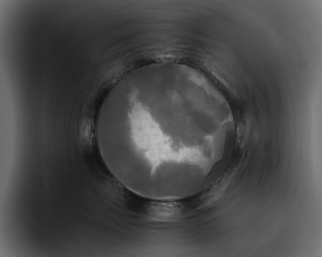 X0000095120671200712141137