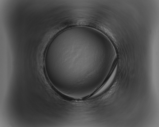 X0000095120673200712141136