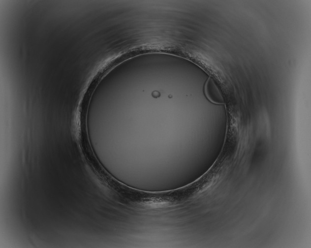 X0000095120678200712141136