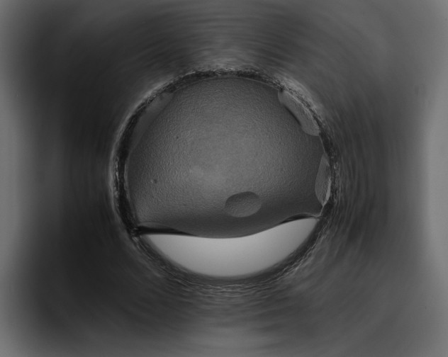 X0000095120680200712141136