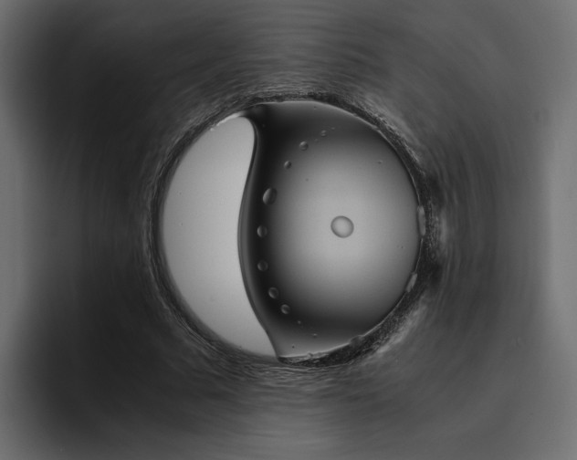 X0000095120681200712141136