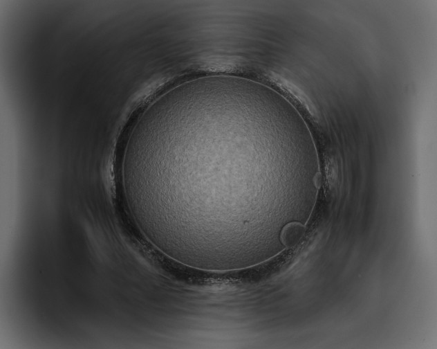 X0000095120682200712141136