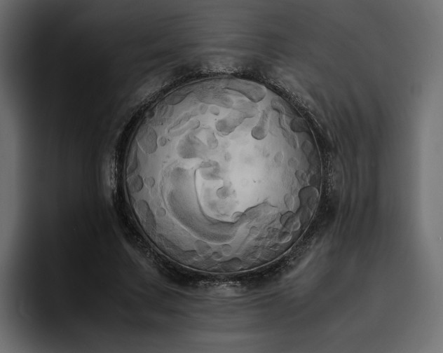 X0000095120683200712141136