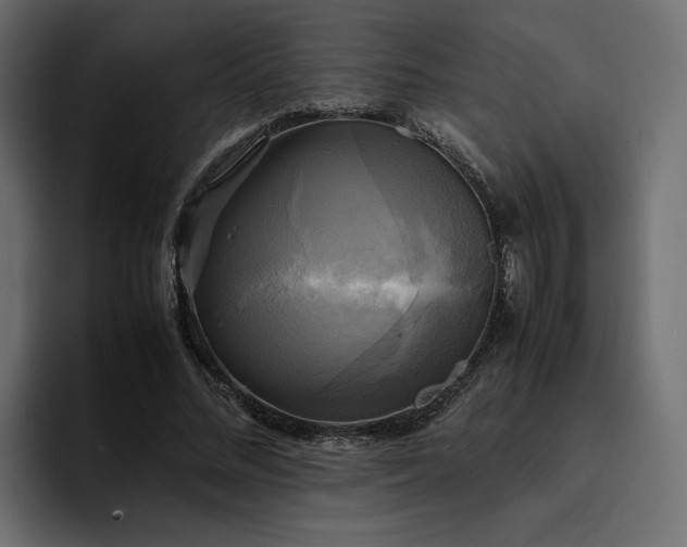 X0000095120684200712141136