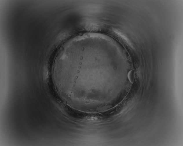 X0000095120687200712141136