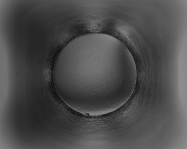 X0000095120689200712141136