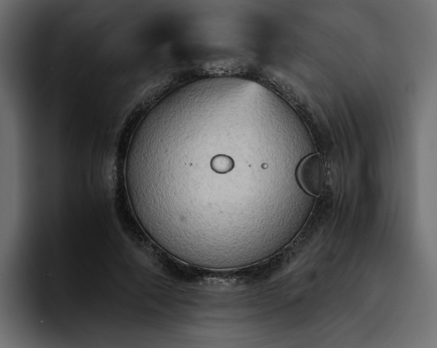 X0000095120690200712141136