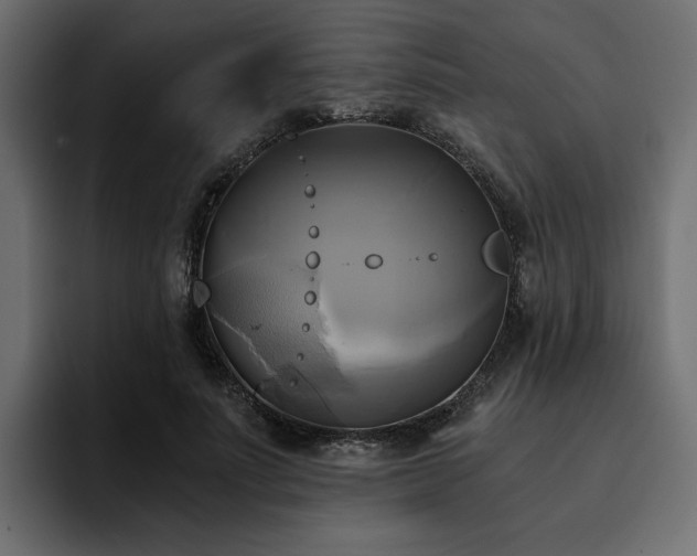 X0000095120691200712141136