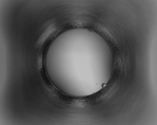 X0000095120694200712141136