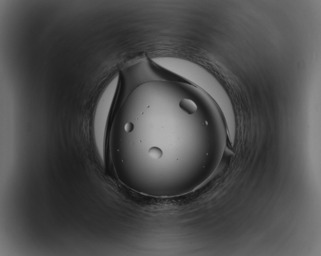 X0000095120696200712141136