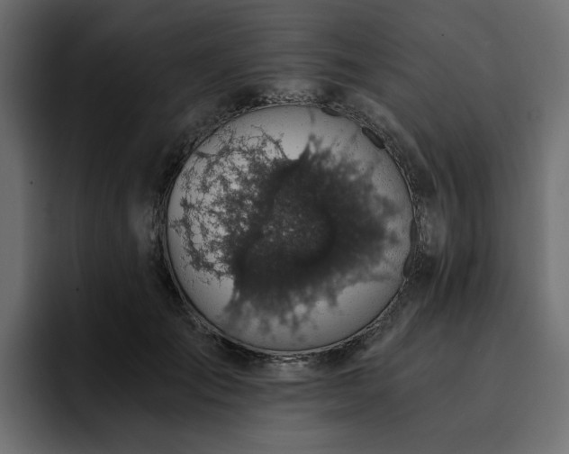 X0000095120701200712141136