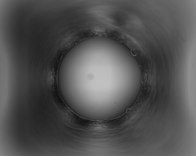 X0000095120702200712141136