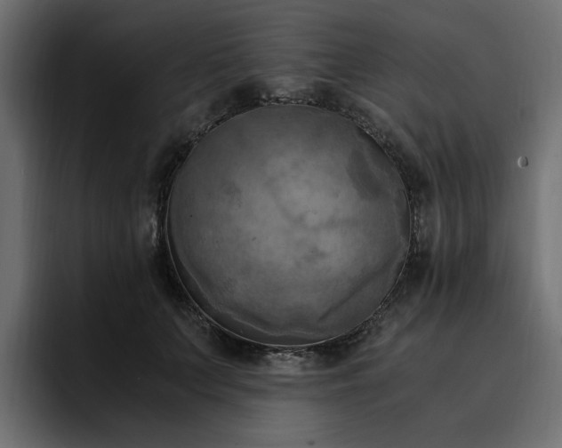 X0000095120703200712141136