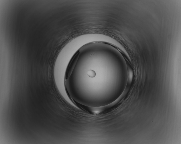 X0000095120704200712141136