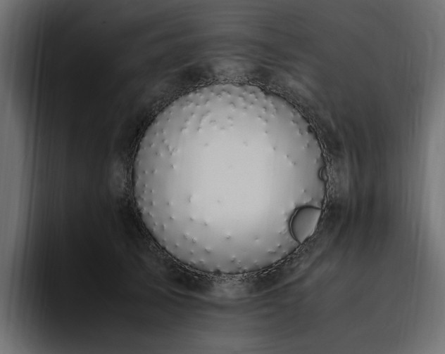 X0000095120705200712141136