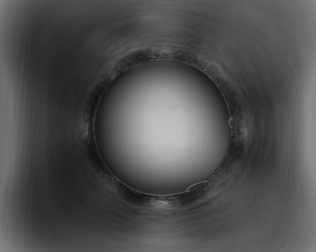 X0000095120706200712141136