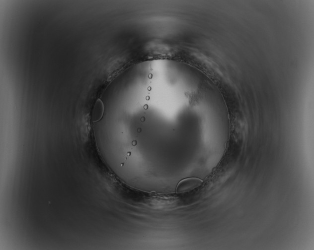 X0000095120707200712141136