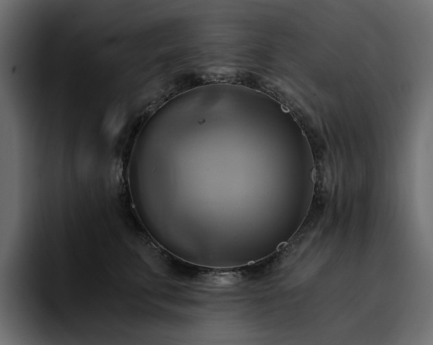 X0000095120711200712141136