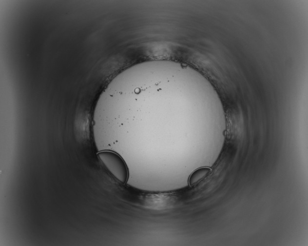 X0000095120717200712141136