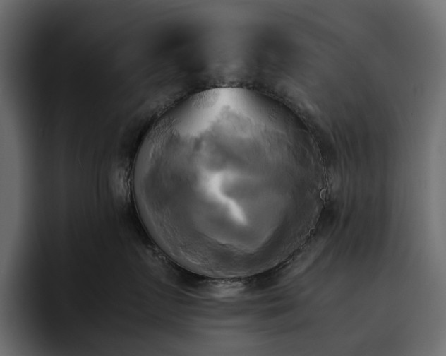 X0000095120719200712141136