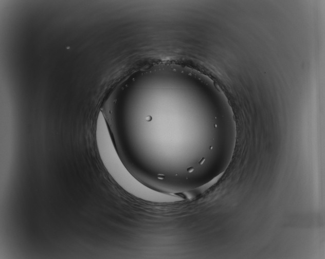 X0000095120720200712141136