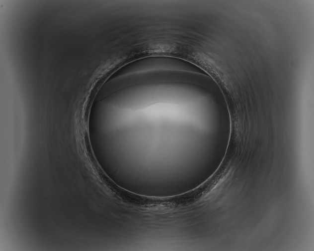 X0000095120721200712141135