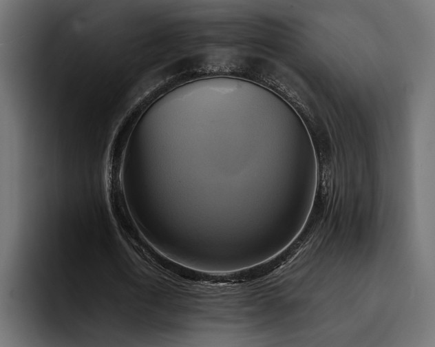 X0000095120722200712141135