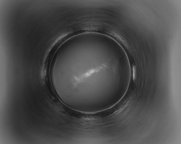 X0000095120723200712141135