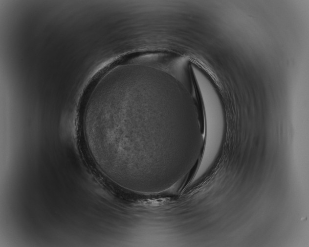 X0000095120724200712141135