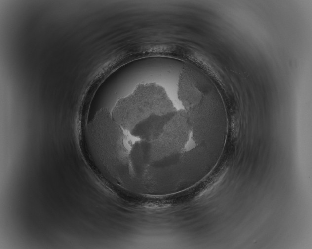 X0000095120725200712141135