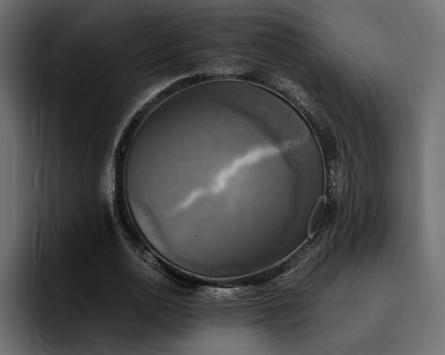 X0000095120726200712141135