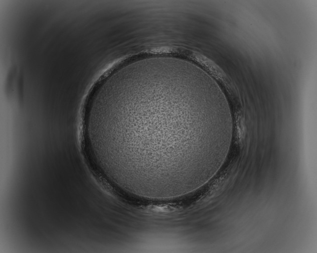 X0000095120728200712141135