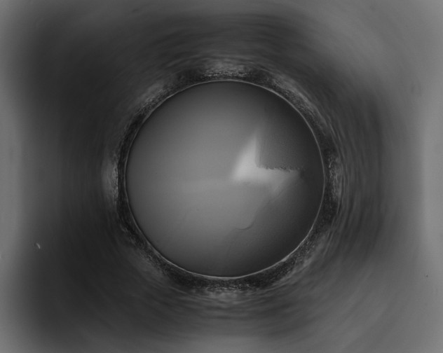 X0000095120729200712141135