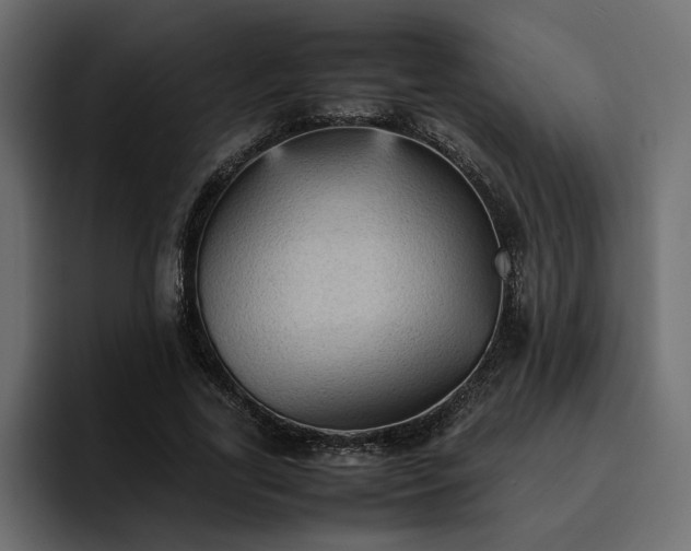 X0000095120731200712141135