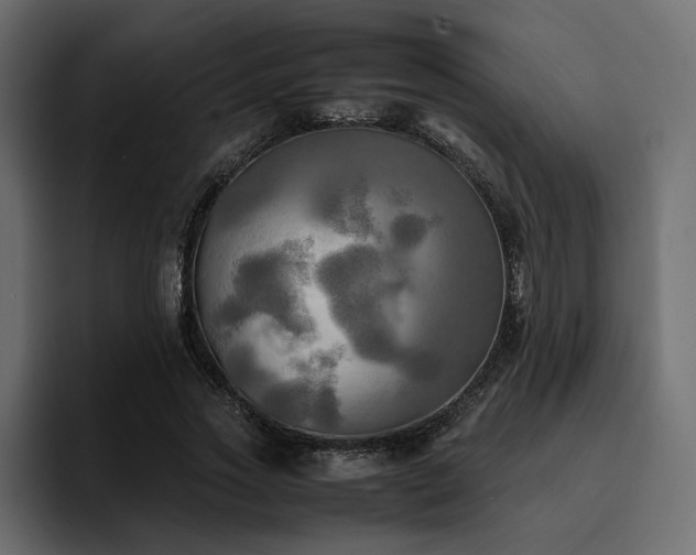 X0000095120733200712141135