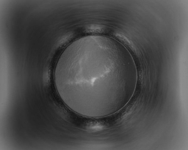 X0000095120735200712141135