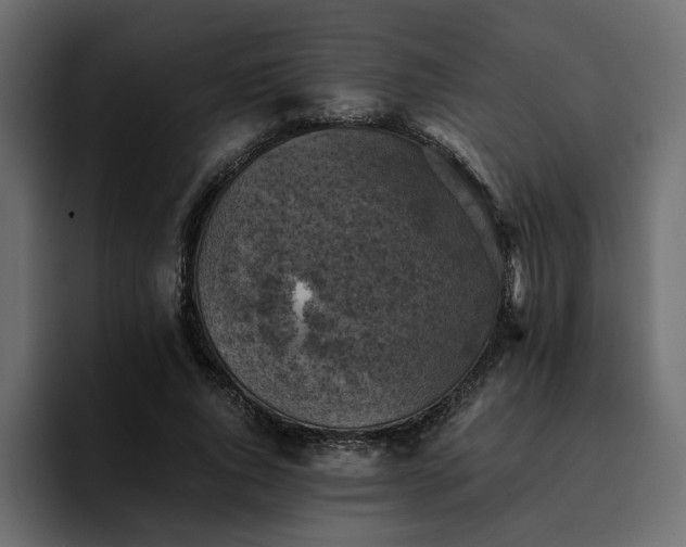 X0000095120736200712141135