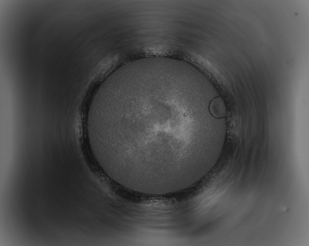 X0000095120738200712141135