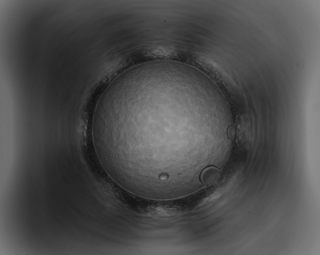 X0000095120739200712141135