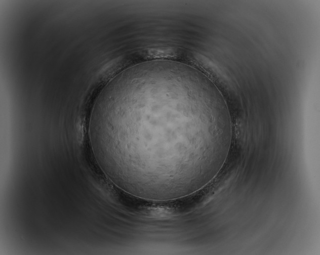 X0000095120741200712141135