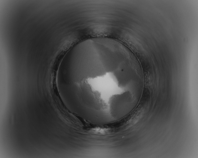 X0000095120742200712141136