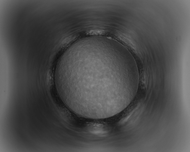 X0000095120743200712141136